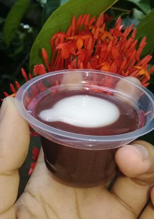 Foto resep Puding coklat 1000 /cup