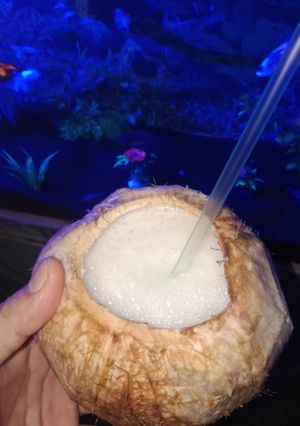Foto resep Jus kelapa muda