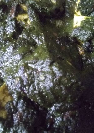 A picture of Palak paneer.