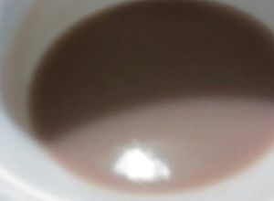 Una foto de Atole de maizena