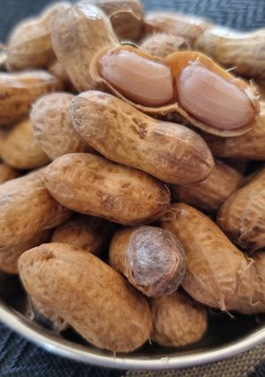 A picture of Boiled ground nuts.