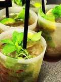 Mojito 🇨🇺🇨🇺🇨🇺🇨🇺🇨🇺