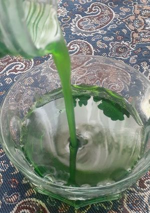 عکسی از دستور شربت نعنا