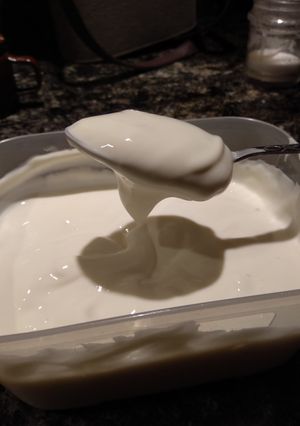 Una foto de Yogur griego casero