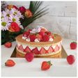 Fraisier rustique