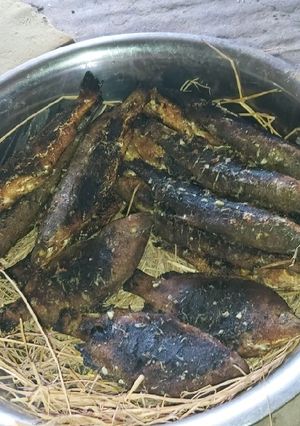 صورة لوصفة احلى سمك وبوري مشوي