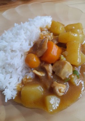 Foto resep Japanese Chicken Curry