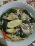 Bening Katu Jamur Tebu Telur