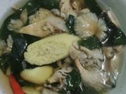 Gambar jamur terubuk