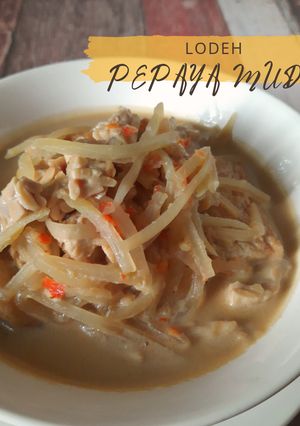 Foto resep Lodeh Pepaya Muda