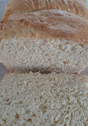 Une photo de Brioche 🍞