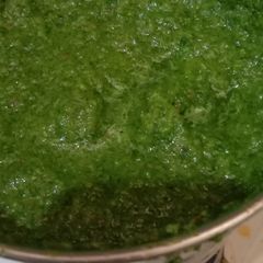 A picture of Coriander chutney.