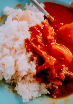 A picture of Curry Rice.