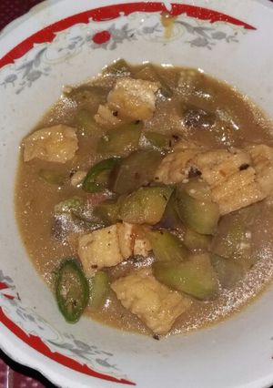 Foto resep Terong tahu santan