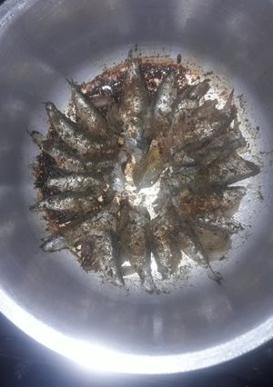 صورة لوصفة السردين في طنجرة الضغط (كوكوط)
