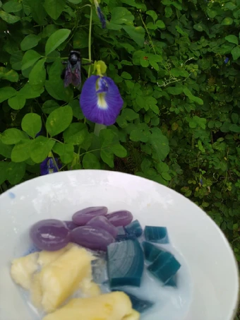 Cara Mudah Membikin Resep Kolang-kaling Ungu Bunga Telang yang Sempurna Anti Ribet, Lezat Sekali