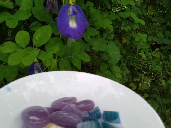 Cara Mudah Membikin Resep Kolang-kaling Ungu Bunga Telang yang Sempurna Anti Ribet, Lezat Sekali