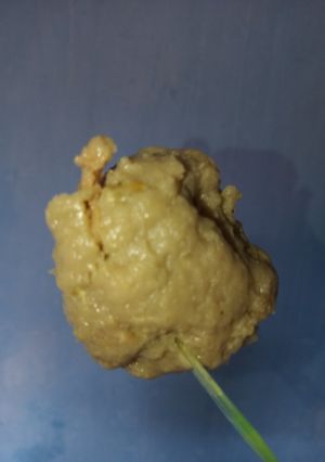 Foto resep 15. Bakso (menggunakan blender)