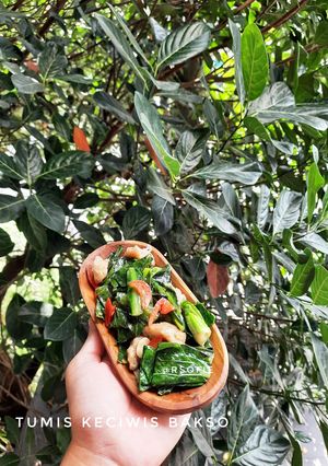 Foto resep Tumis Keciwis Bakso