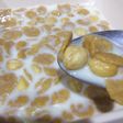 كورن فليكس لزيادة الوزن