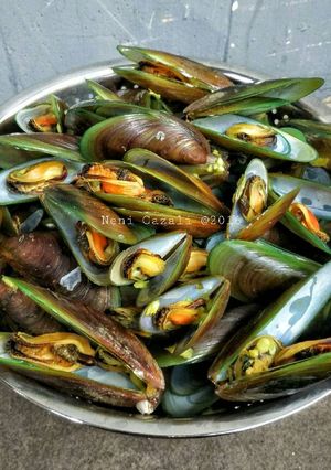 Foto resep Kerang Hijau Rebus