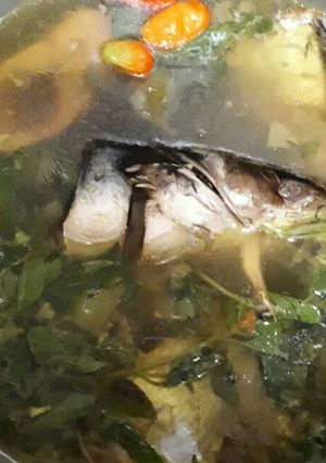 Foto resep Patin Kuah kuning