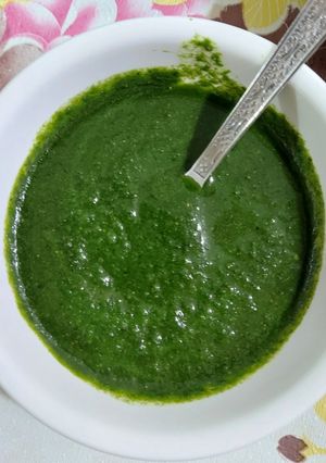 લીલા ધાણા ની ચટણી (Lila Dhana Chutney Recipe In Gujarati) રેસીપી મુખ્ય ફોટો