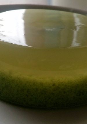 Foto resep Puding Lumut Susu