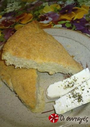 A picture of Cornbread, short.