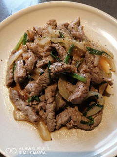 A picture of Sauteed Beef.