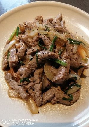 A picture of Sauteed Beef.