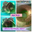 Bolu nutrijel army