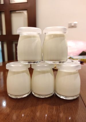 原味鮮奶酪 的食譜成品照片