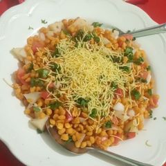 A picture of Boondi chat.