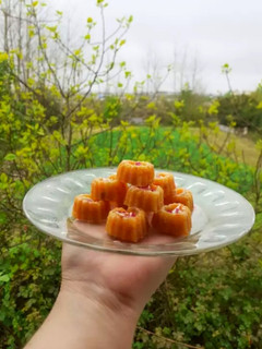 عکسی از دستور دسر هویج بدون ژلاتین 😋😍