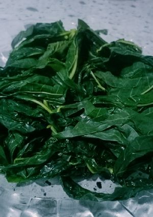 Foto resep Daun Singkong Rebus Empuk
