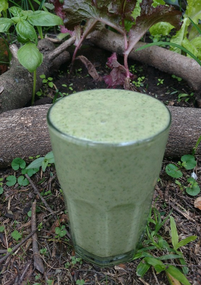 Una foto de Licuado verde de desayuno