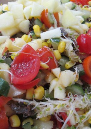 【展賦小廚】無火料理-土耳其風味沙拉 的食譜成品照片