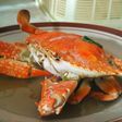 Kepiting kuah segar