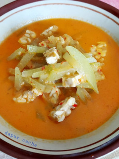 Foto resep Lodeh labu siam
