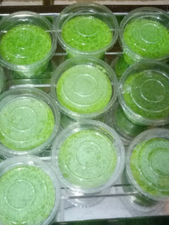 Foto resep Puding lumut (versi full lumut)