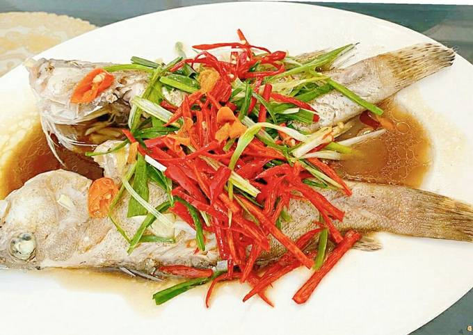 Resep Steam kerapu ala hongkong simple, sehat, enak banget! Anti Gagal