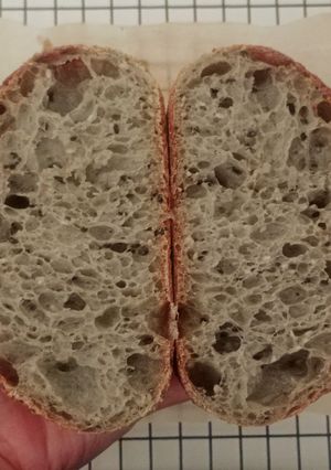 Foto resep Moringa Black n White Sesame Seeds Sourdough Bread