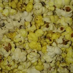 A picture of Popcorn.