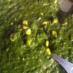 A picture of Corn palak.