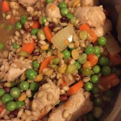 A picture of Budget Stew.