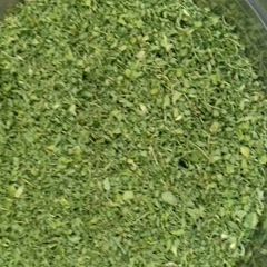 A picture of Kasturi methi.