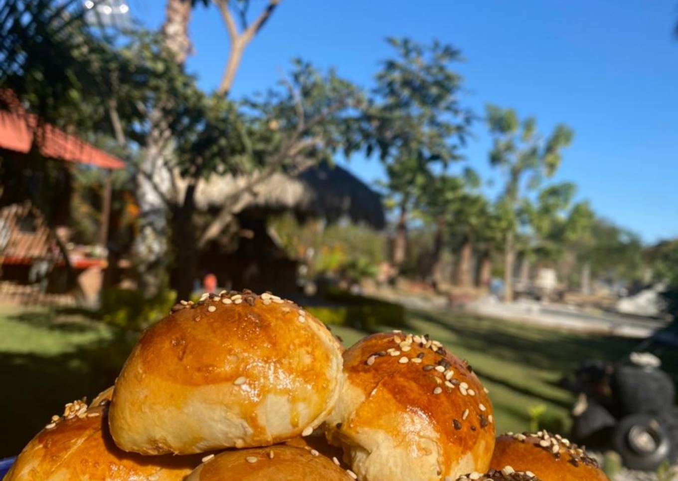 Bollitos de Queso 🥰🤤