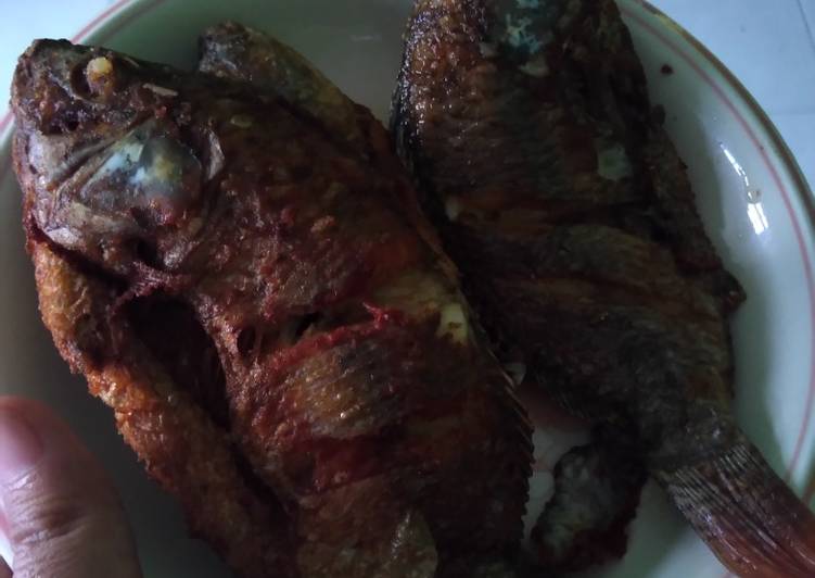 Resep Mujair goreng | Cara Membuat Mujair goreng Yang Lezat Sekali