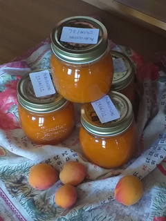Foto di Marmellata di albicocche